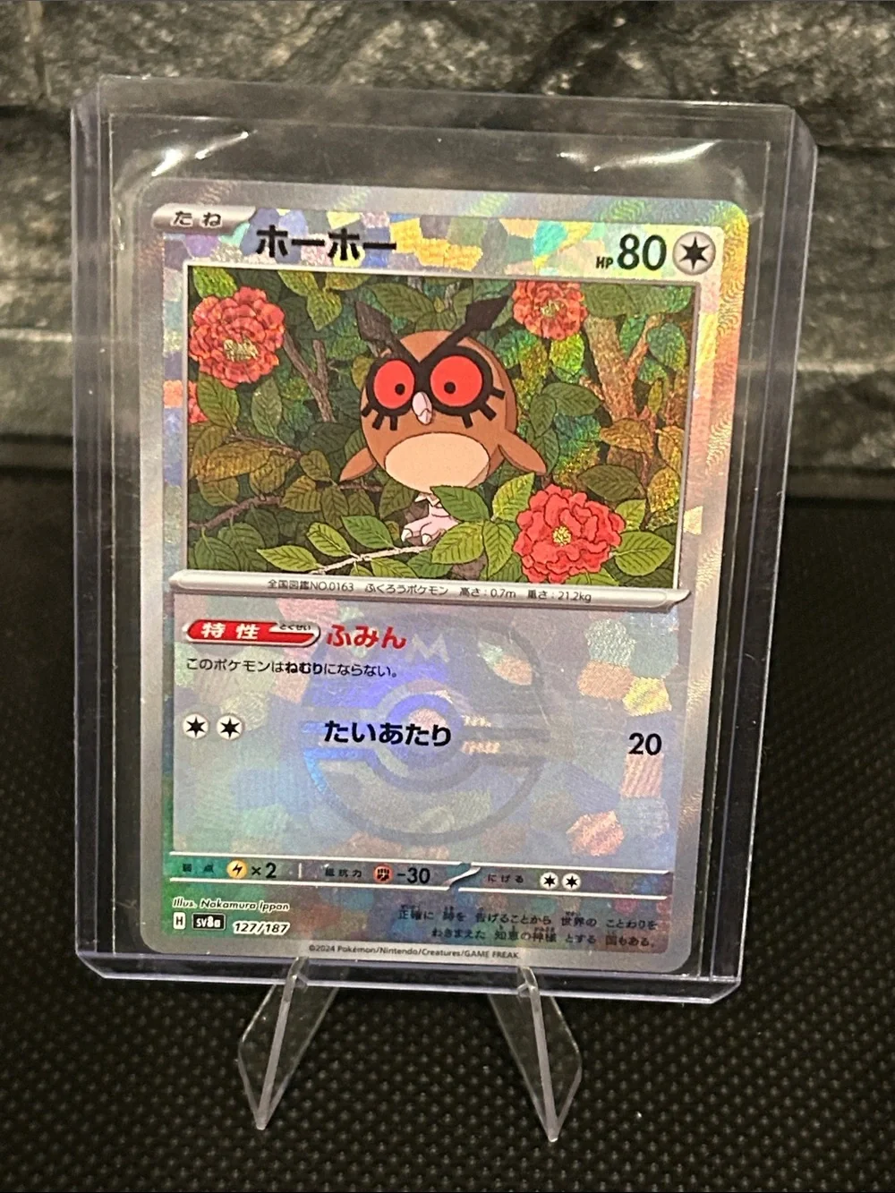 Pokemon Hoothoot 127/187 Masterball Holo Terastal Festival Set (Japanese) M/NM